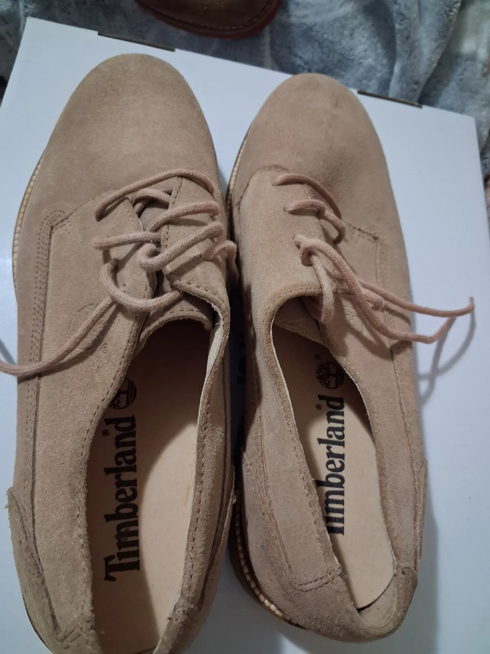 Timberland men derby